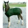 Foal Blanket -Horse Care World 158000GN rev2 68062.1544143107