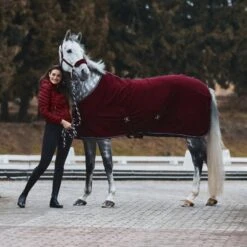 Equinavia Horze Kiel Fleece Rug - Various Colours -Horse Care World 2ff2cb52 c7fe 4e71 800c 33ccb294fdb624671 DRE cdf79cb15a3204ae9037bc5c97fb69a45ffc5461