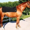 Back On Track Back Warmer -Horse Care World 364d9869e80c7019d0cc6588713fa1fb5b353625