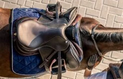 Winderen Jump Half Pad Slim - 10mm -Horse Care World 387b 7b9be07d f4eb 4536 89f3 e1fc7bb60cd5