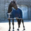 Horseware Ireland Amigo Net Cooler -Horse Care World 6790dd7ca9d09bc58d3f04fe146c866935c039f6