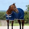 Amigo Jersey Cooler - 2 Colours -Horse Care World ACRJ44 BI00 2