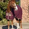 Amigo Stable Sheet - 2 Colours -Horse Care World ADRF22 GFBM DHRH40 GFBM 1024x1024 5ea82ba3 e954 4277 af70 a1a3cc51fb0e