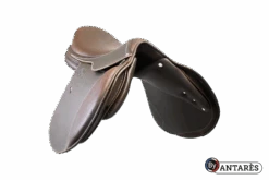 Horse Care World -Horse Care World SIGOBSC GV PIC 202003 03