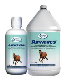 Omega Alpha Airwaves 1L