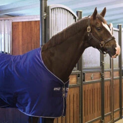 Amigo Stable Sheet - 2 Colours 6 Amigo Stable Sheet - 2 Colours -Horse Care World horseware amigo stable sheet 0g atlantic blue altant