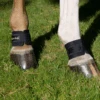 Back On Track Pastern Wraps 2 Back On Track Pastern Wraps -Horse Care World image 5e12d9e8 489a 46e5 80e4 6aba05336194
